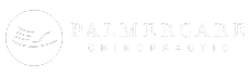 Palmercare_Logo 1